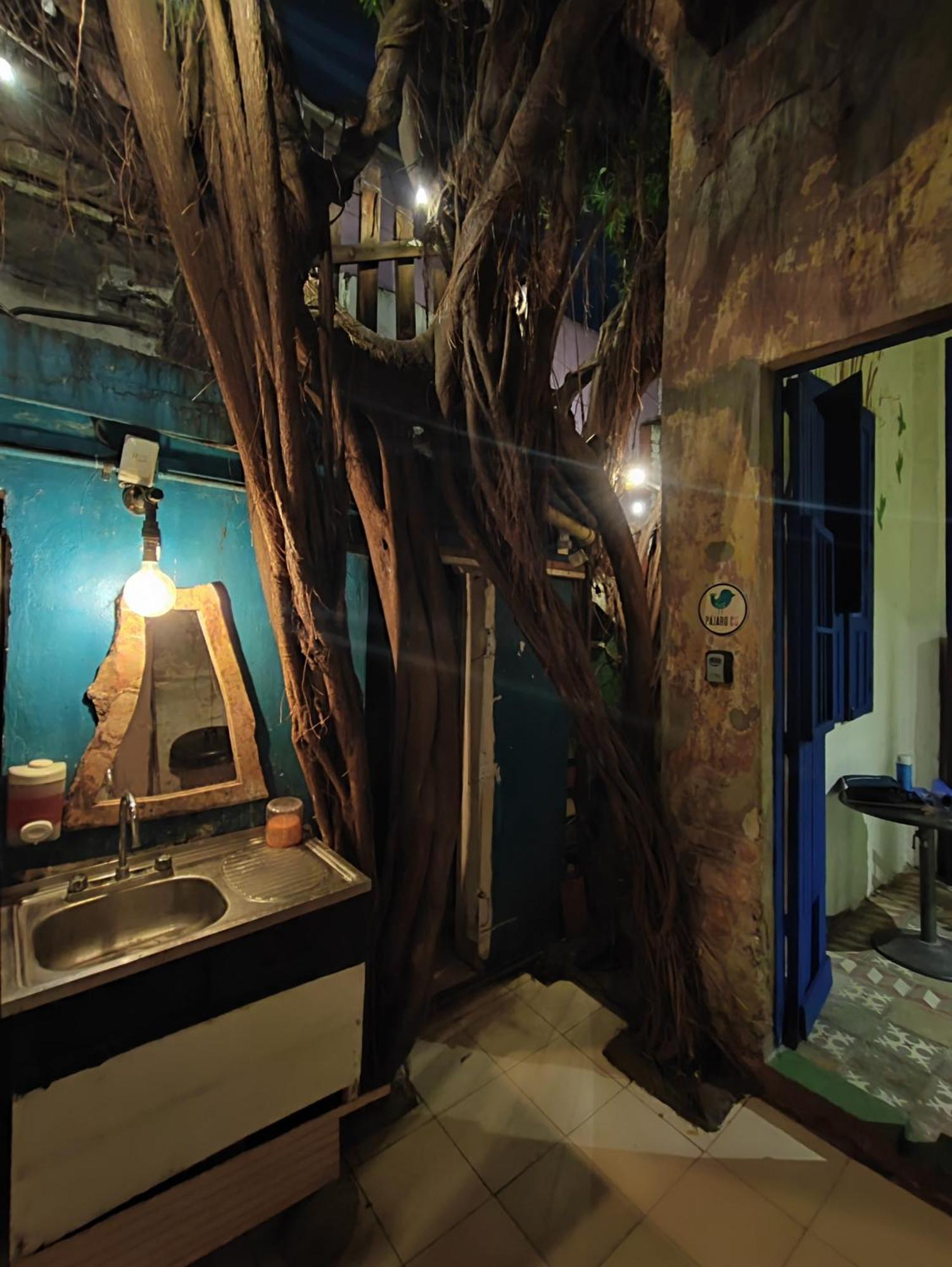 Chuchumbe Hotel & Hostal Veracruz Exterior photo